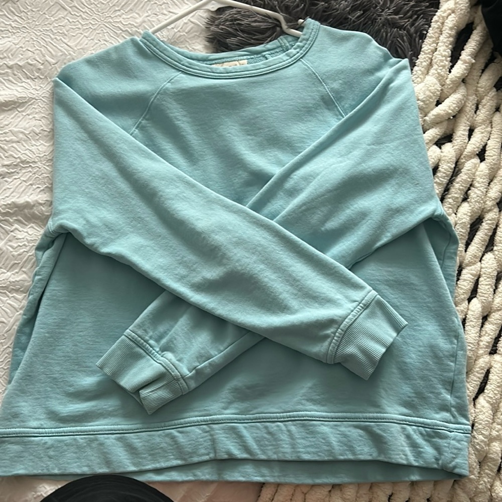 baby blue target cropped sweater